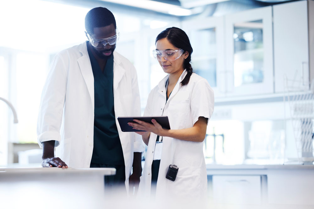 Two scientists working together in laboratory